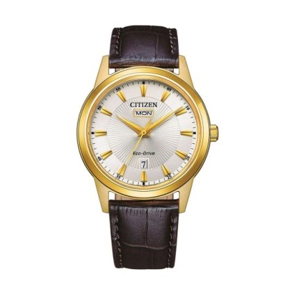 CITIZEN AW0102-13AE