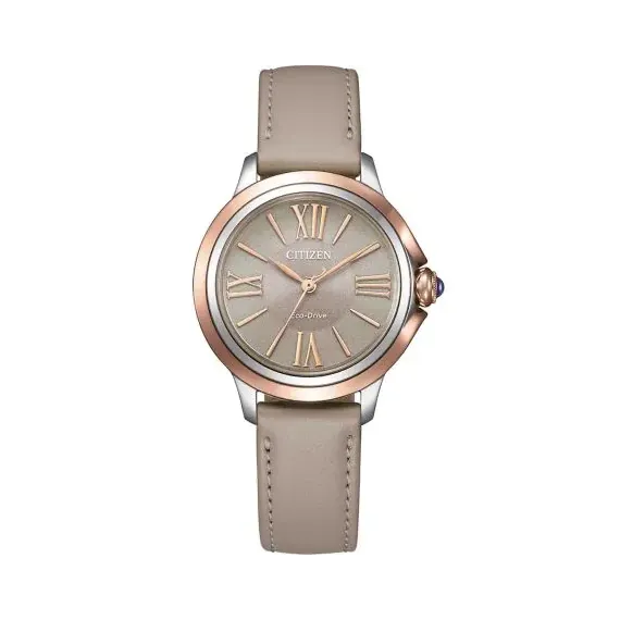 CITIZEN EM1166-01Z